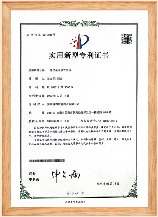 專利證書(shū)19